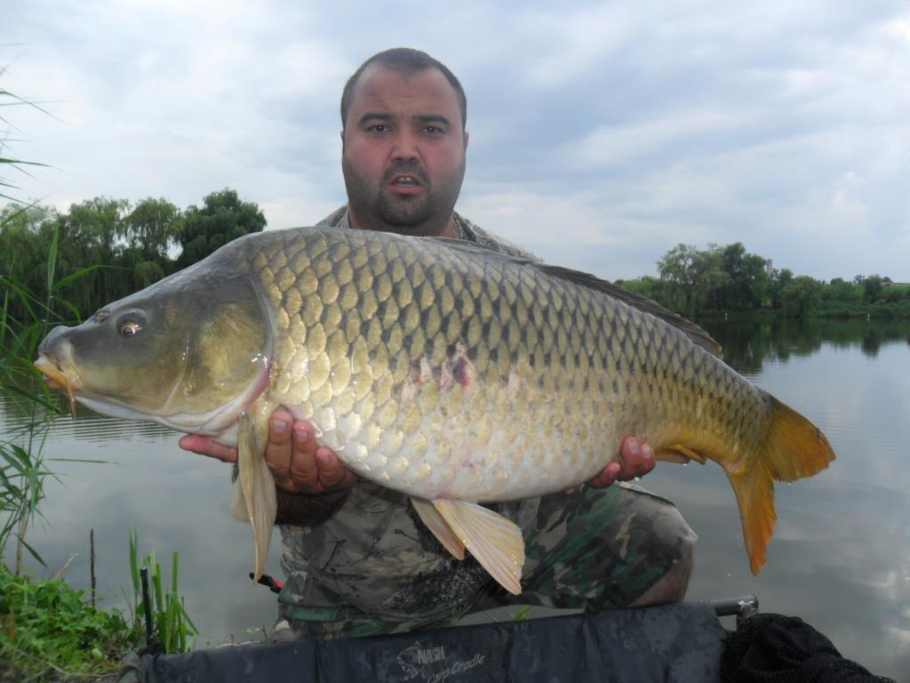 My Passion - sam0892.JPG